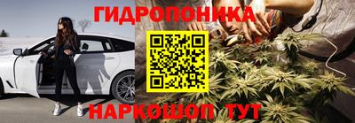 дживик Кингисепп